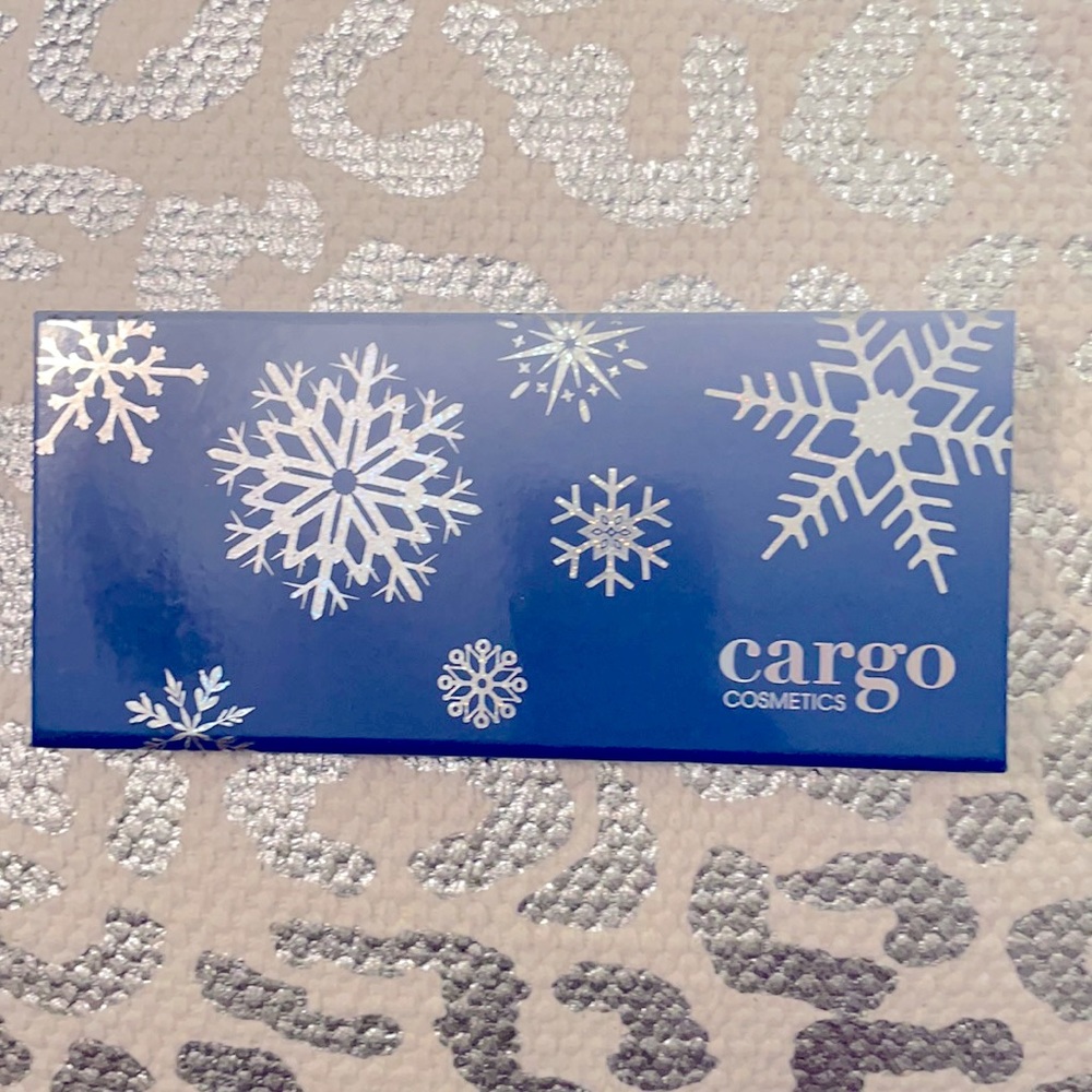 Cargo Chill in the Six 🥶 Eyeshadow Palette